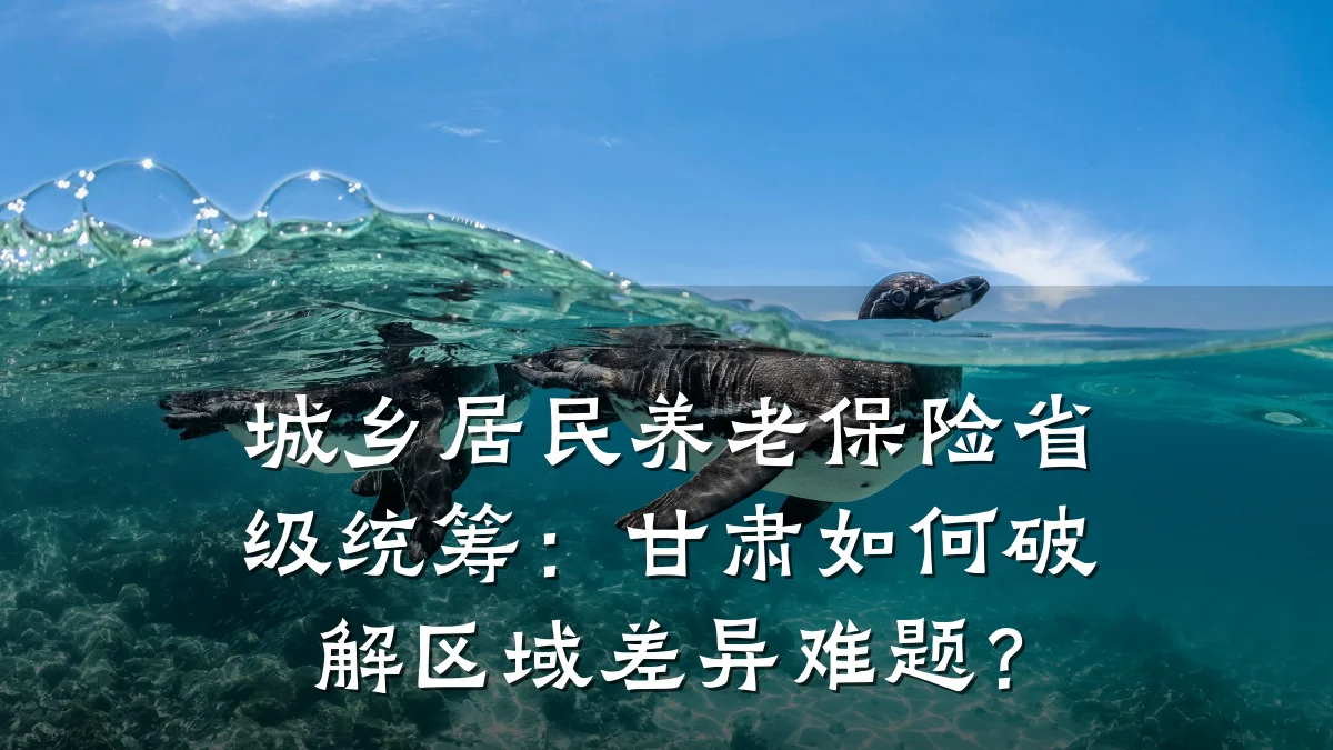 城乡居民养老保险省级统筹：甘肃如何破解区域差异难题？