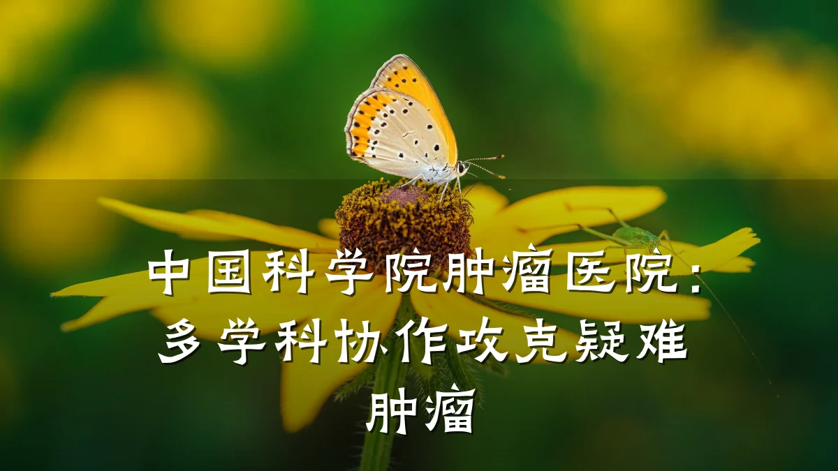 中国科学院肿瘤医院：多学科协作攻克疑难肿瘤