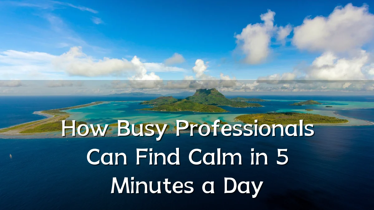 How Busy Professionals Can Find Calm in 5 Minutes a Day