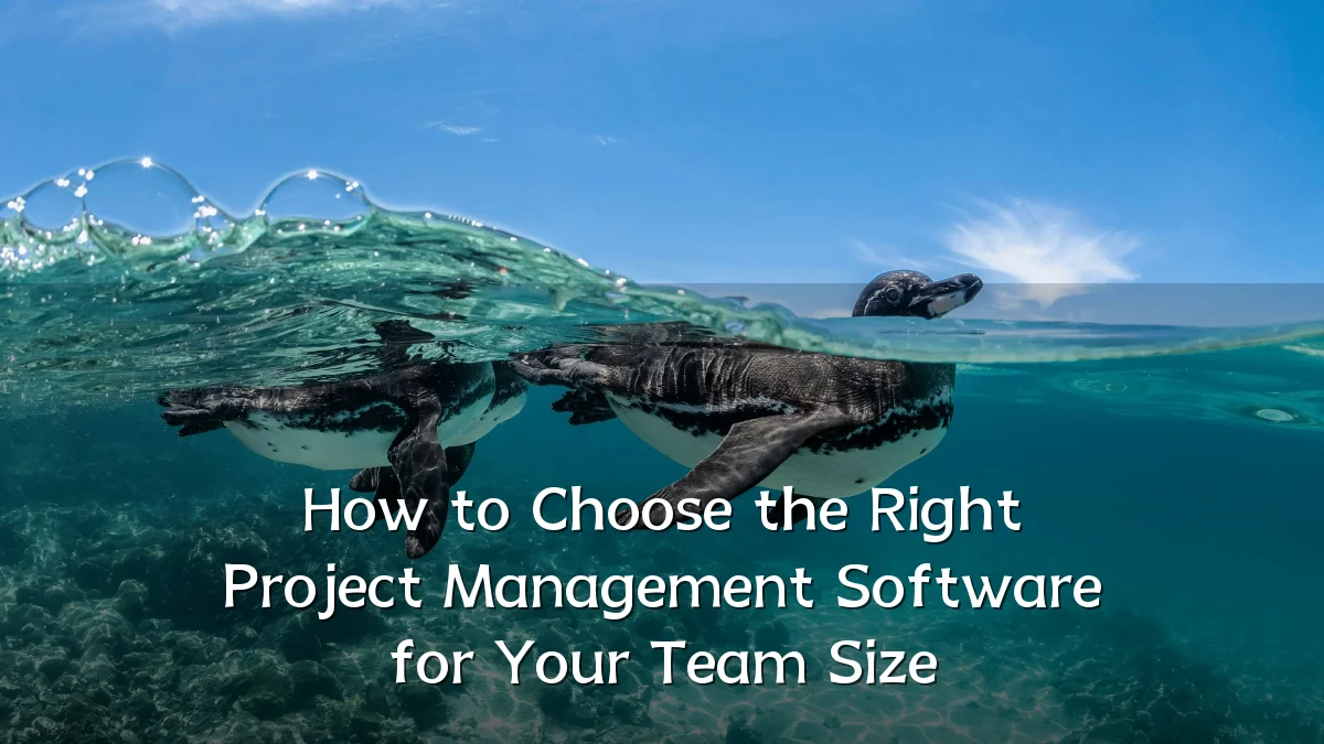 How to Choose the Right Project Management Software for Your Team Size