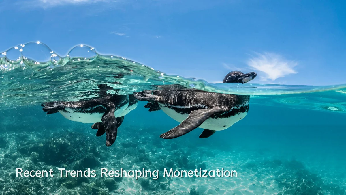 Recent Trends Reshaping Monetization