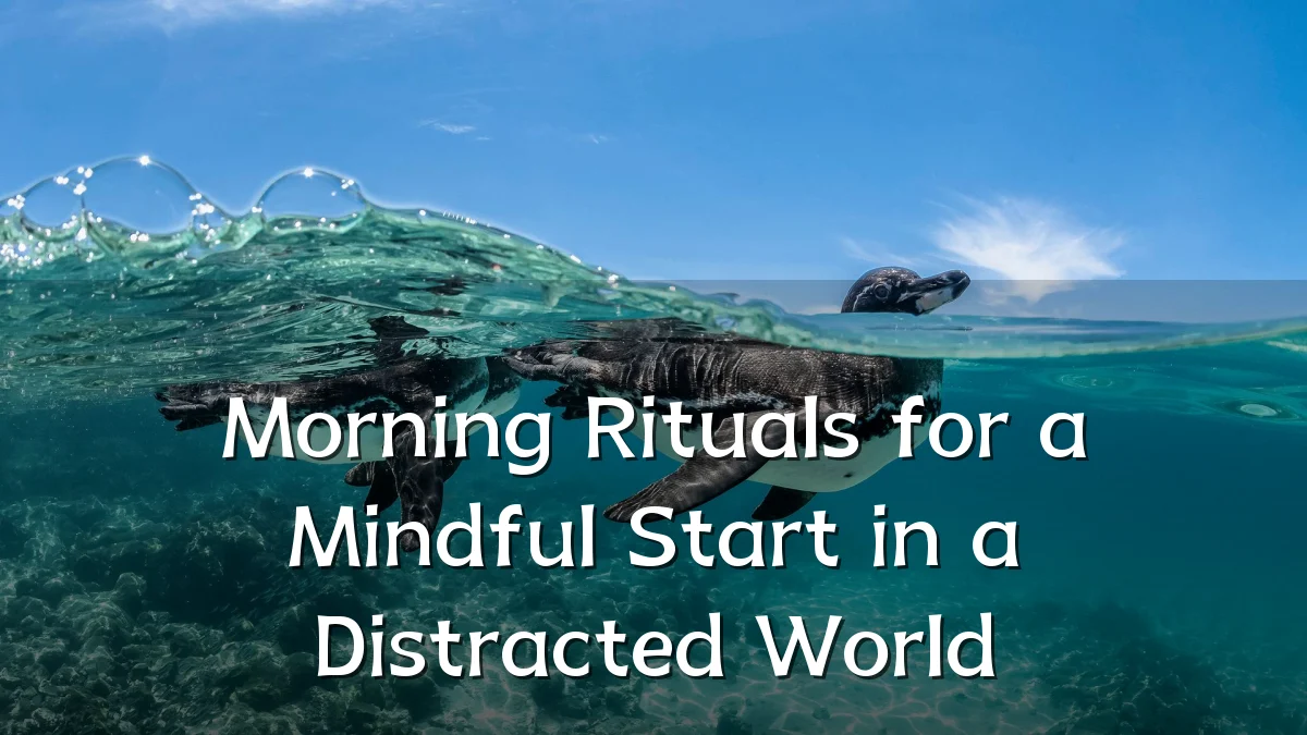 Morning Rituals for a Mindful Start in a Distracted World