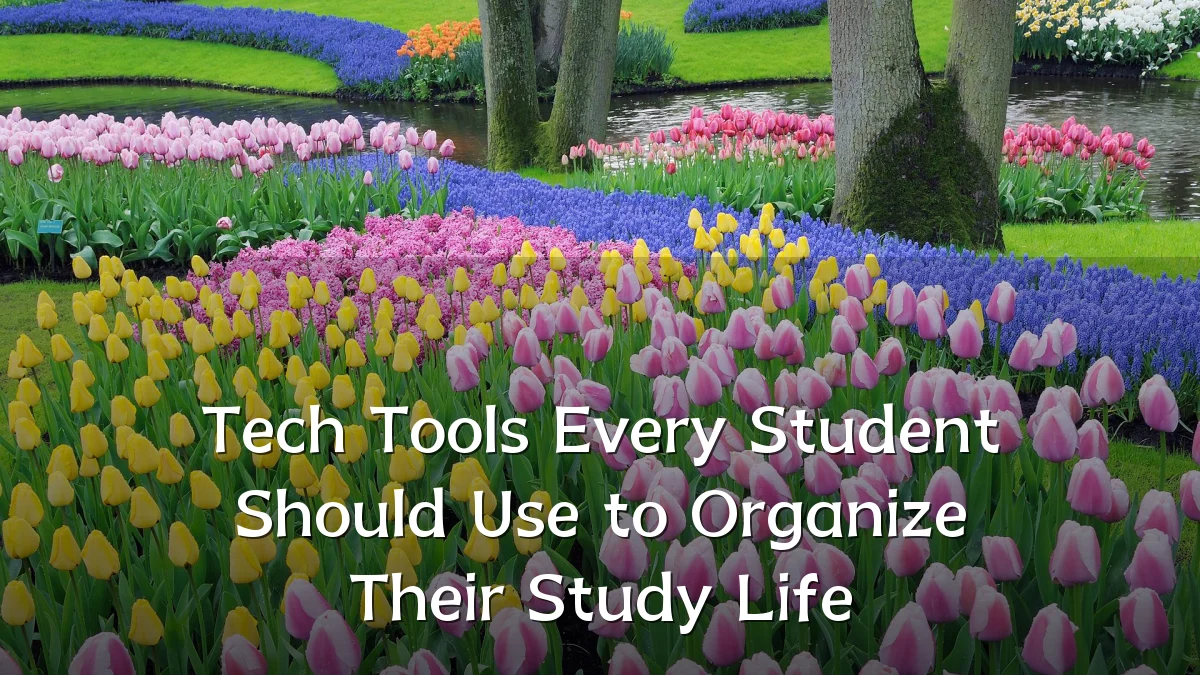 Tech Tools Every Student Should Use to Organize Their Study Life