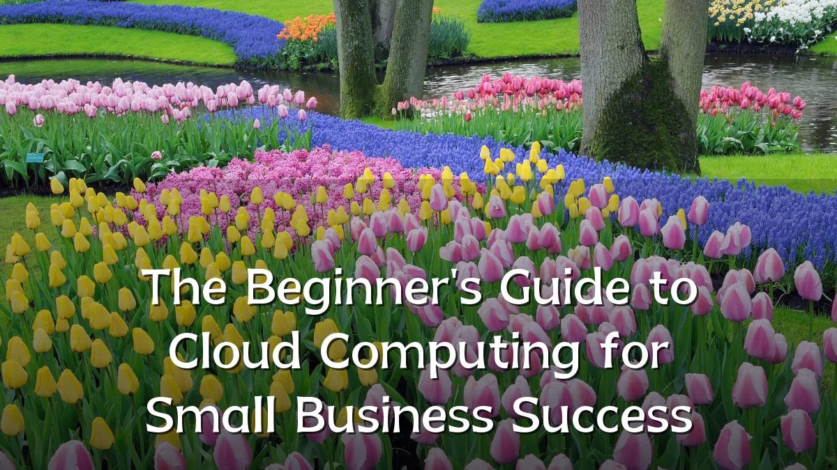 The Beginner's Guide to Cloud Computing for Small Business Success