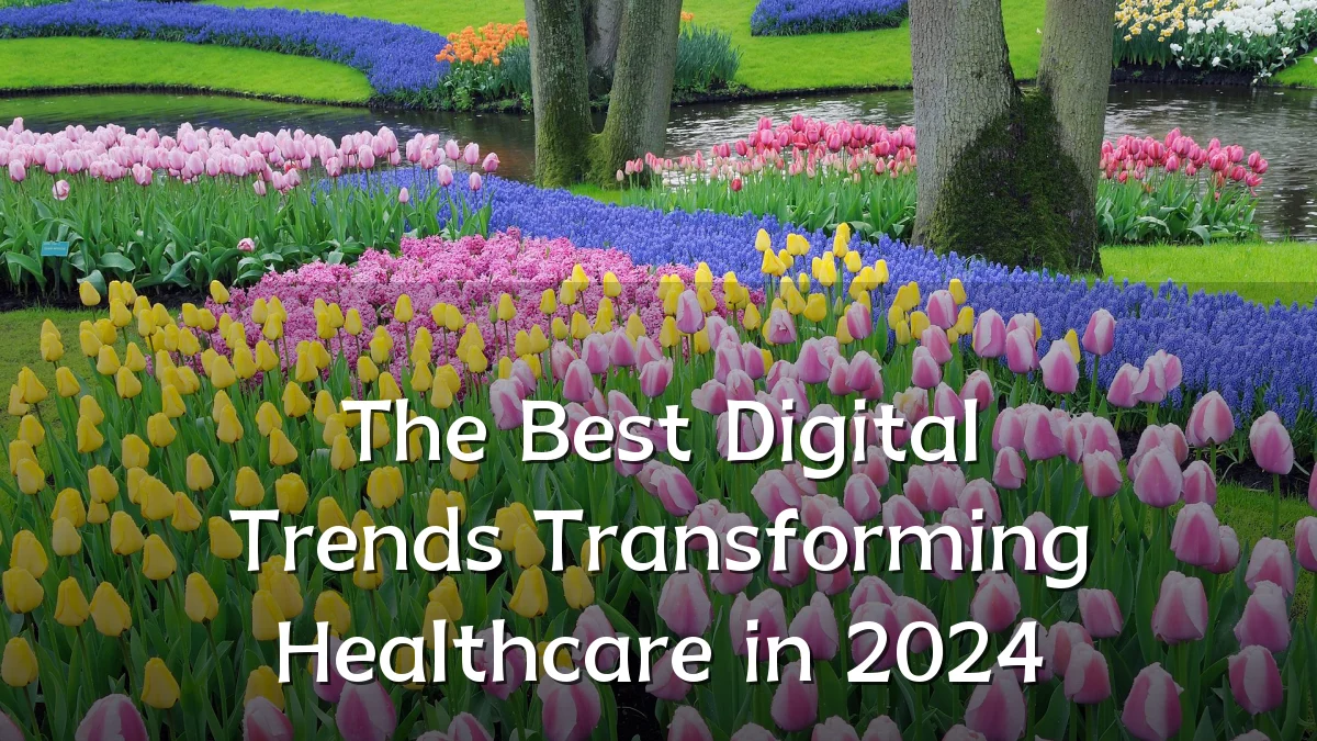 The Best Digital Trends Transforming Healthcare in 2024
