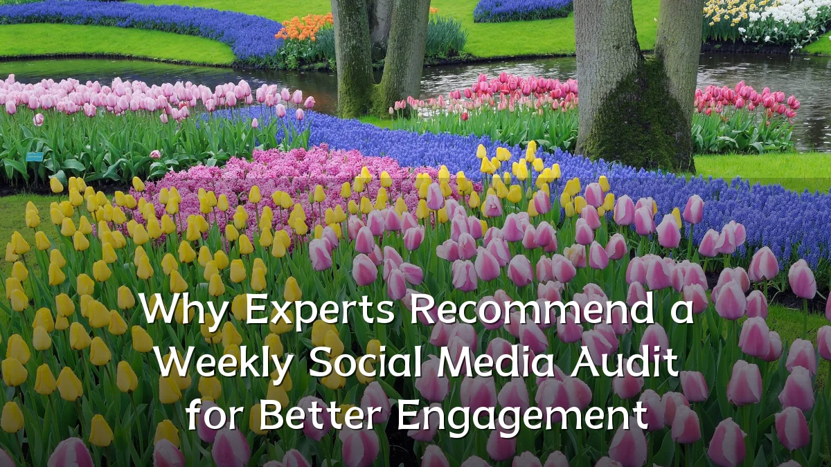 Why Experts Recommend a Weekly Social Media Audit for Better Engagement