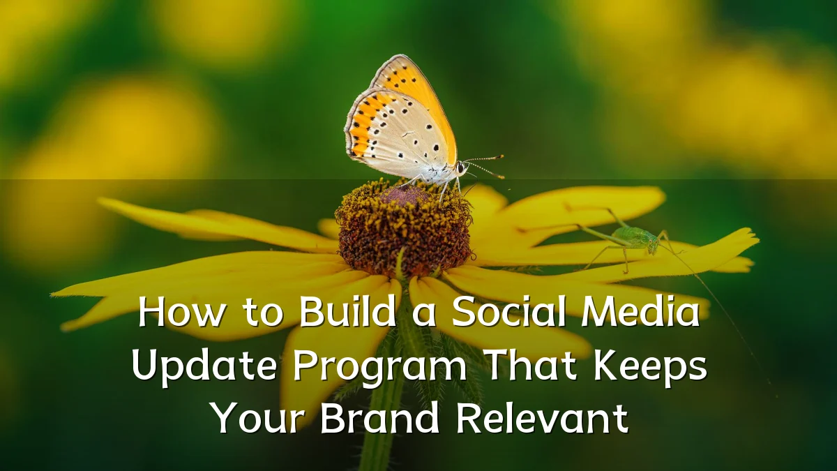 How to Build a Social Media Update Program That Keeps Your Brand Relevant