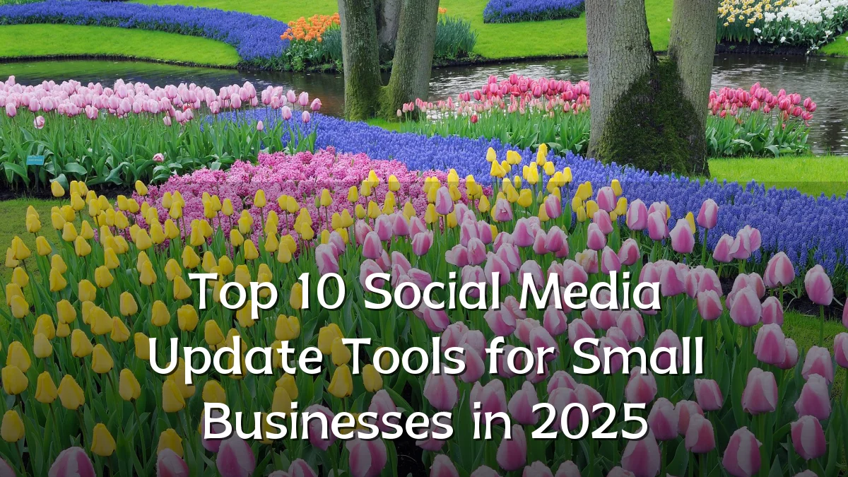 Top 10 Social Media Update Tools for Small Businesses in 2025