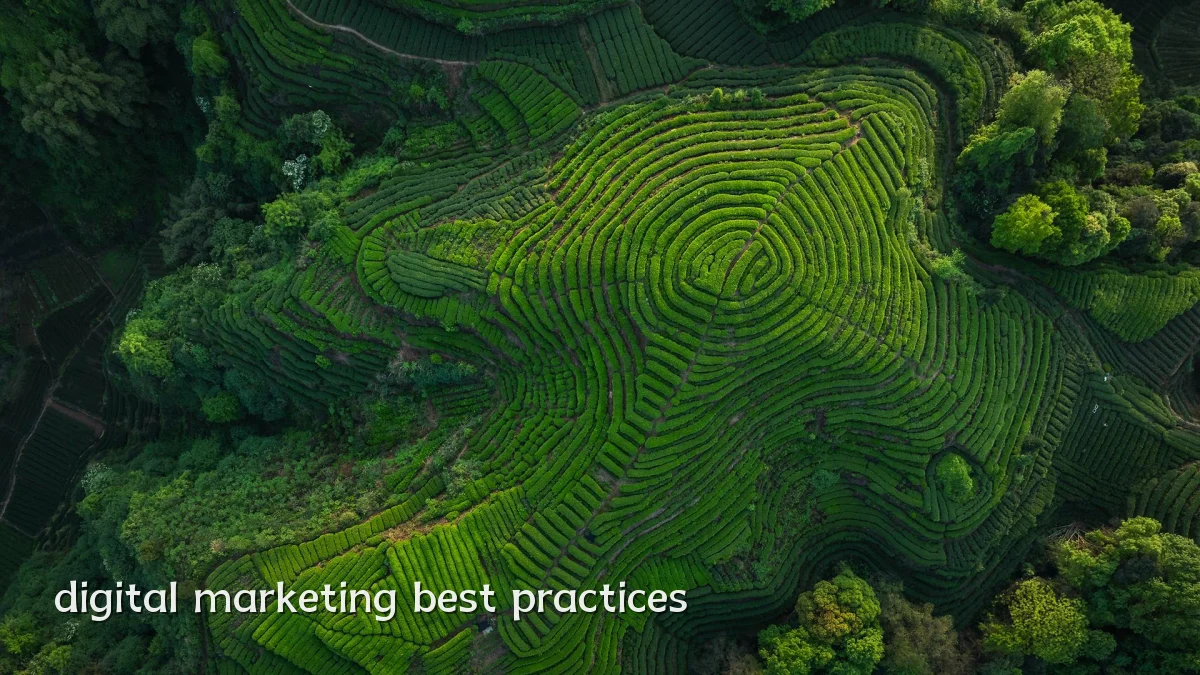 digital marketing best practices