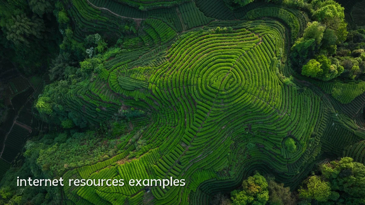 internet resources examples