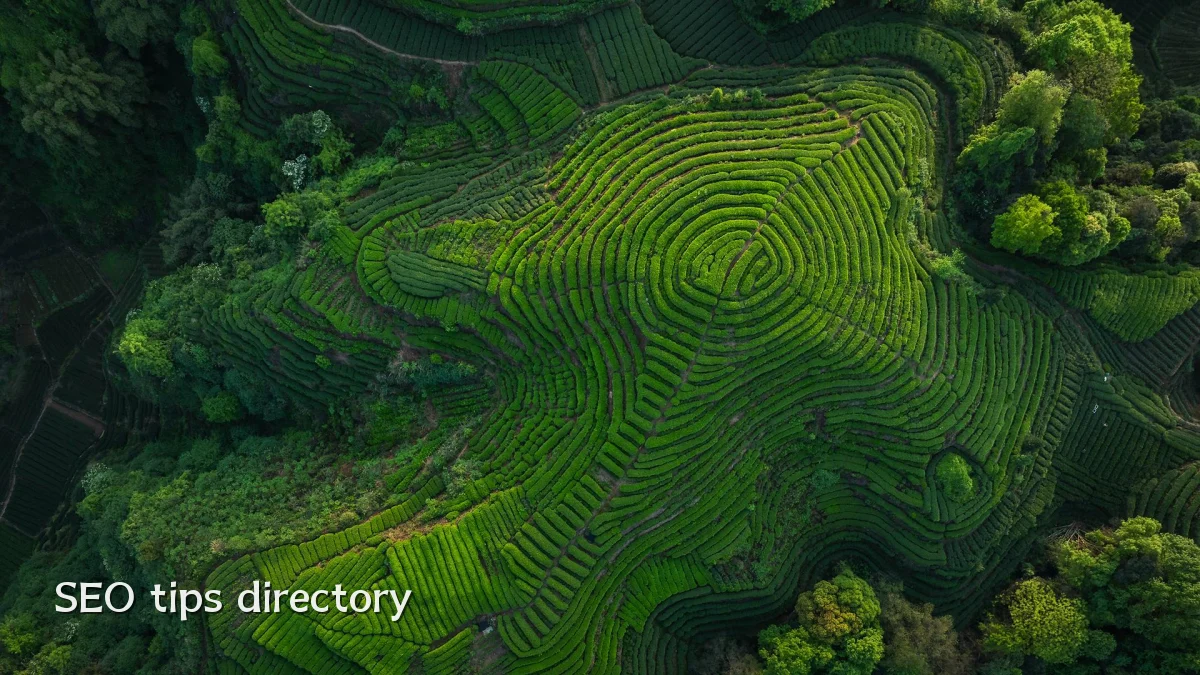 SEO tips directory