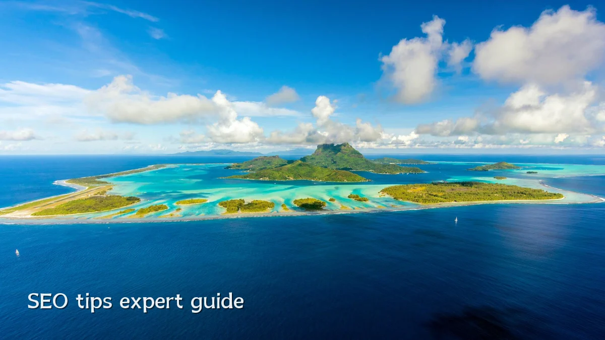 SEO tips expert guide
