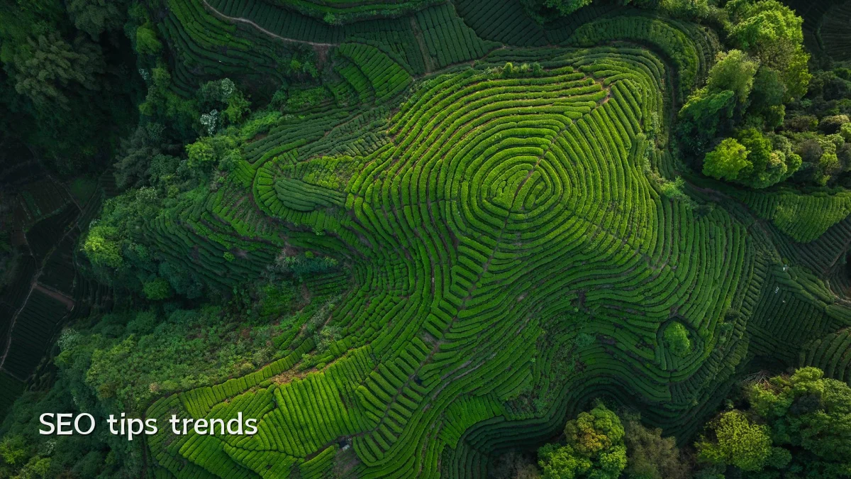 SEO tips trends
