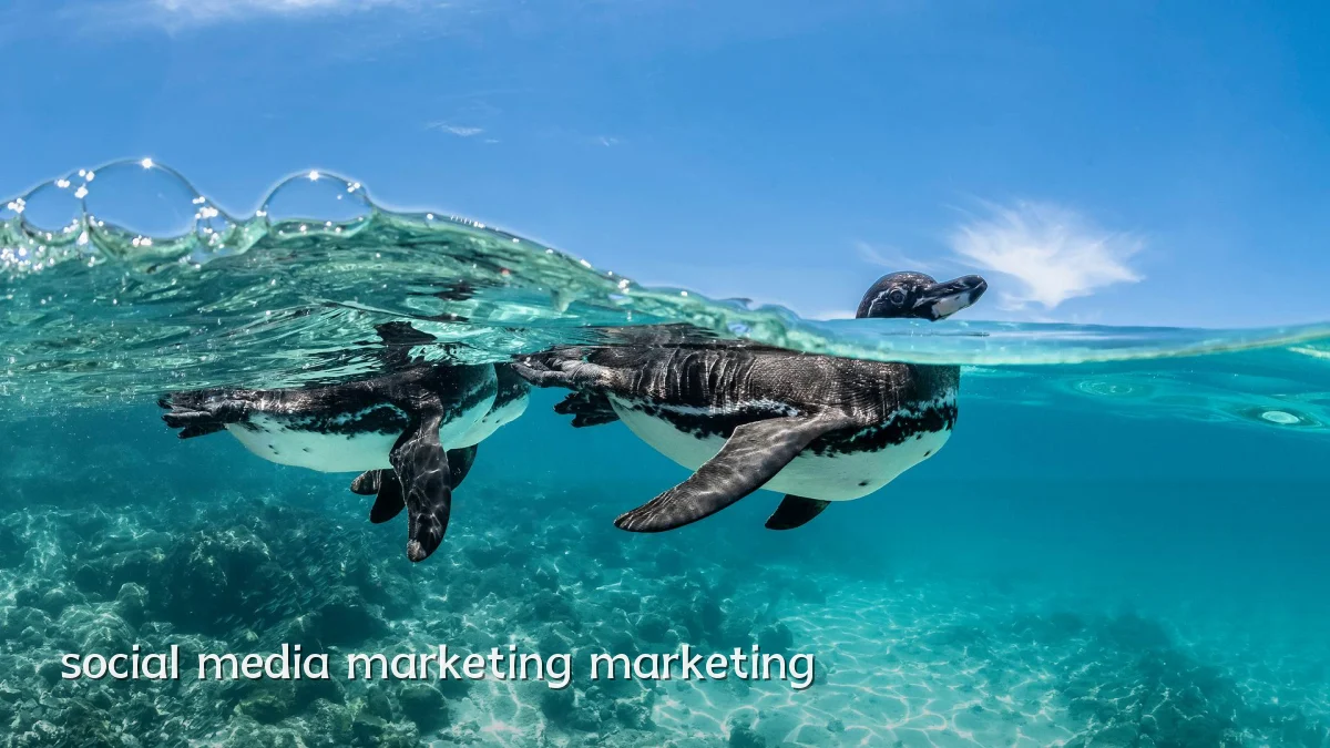 social media marketing marketing