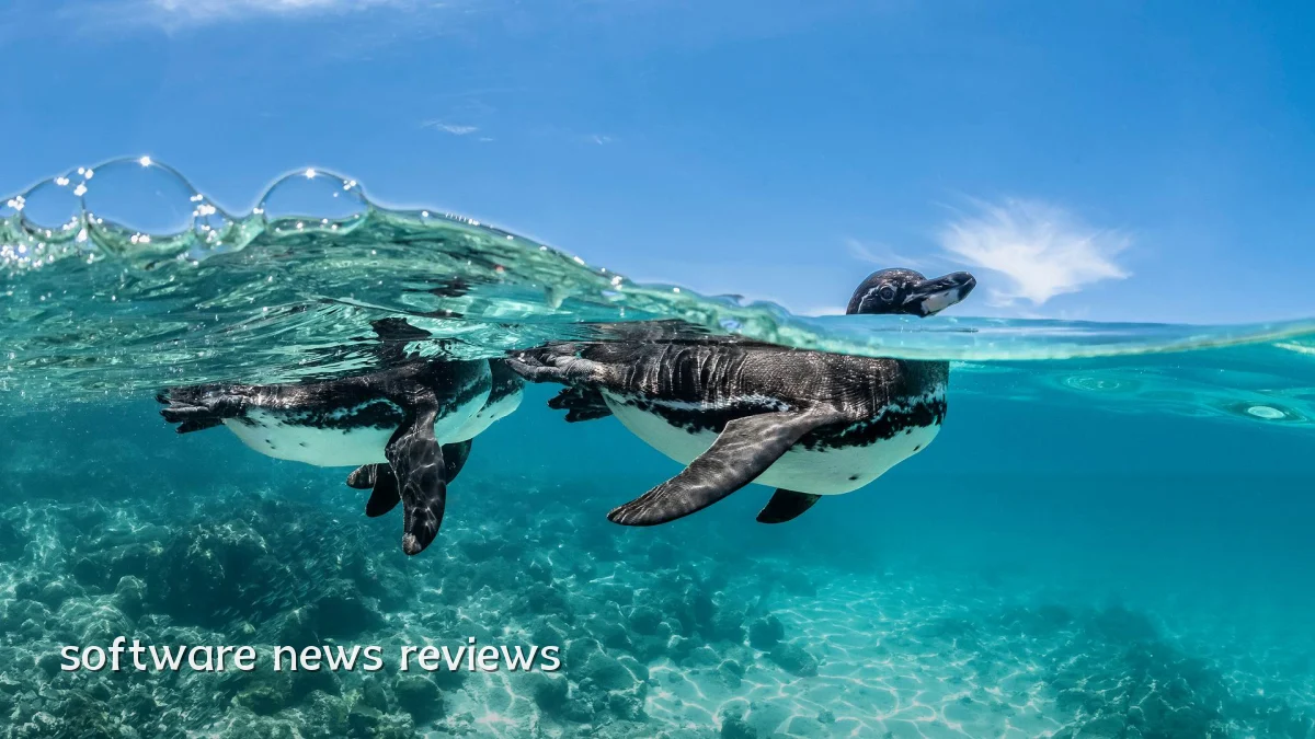 software news reviews