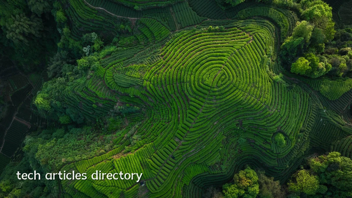 tech articles directory