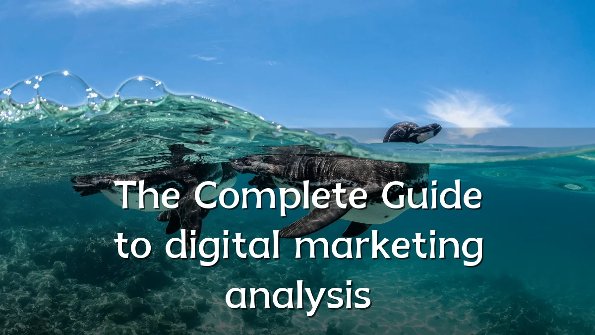 The Complete Guide to digital marketing analysis