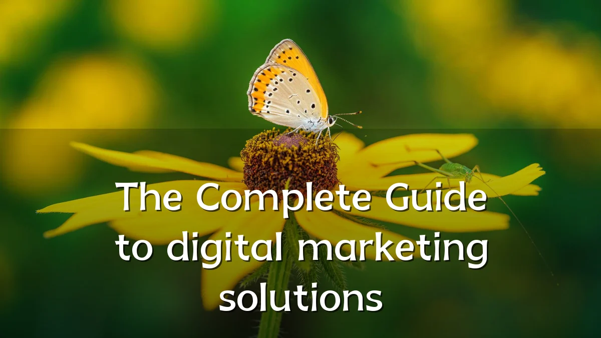 The Complete Guide to digital marketing solutions