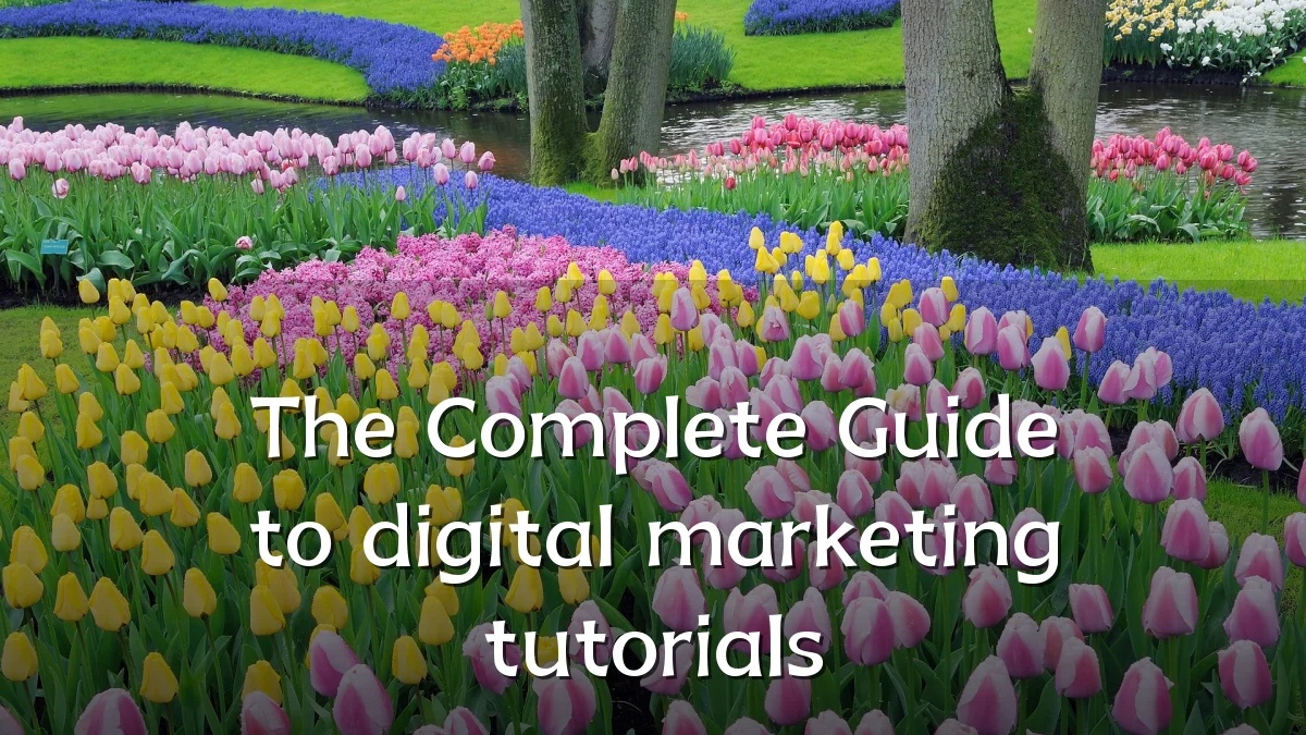 The Complete Guide to digital marketing tutorials