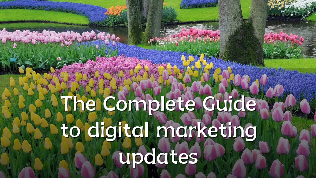 The Complete Guide to digital marketing updates