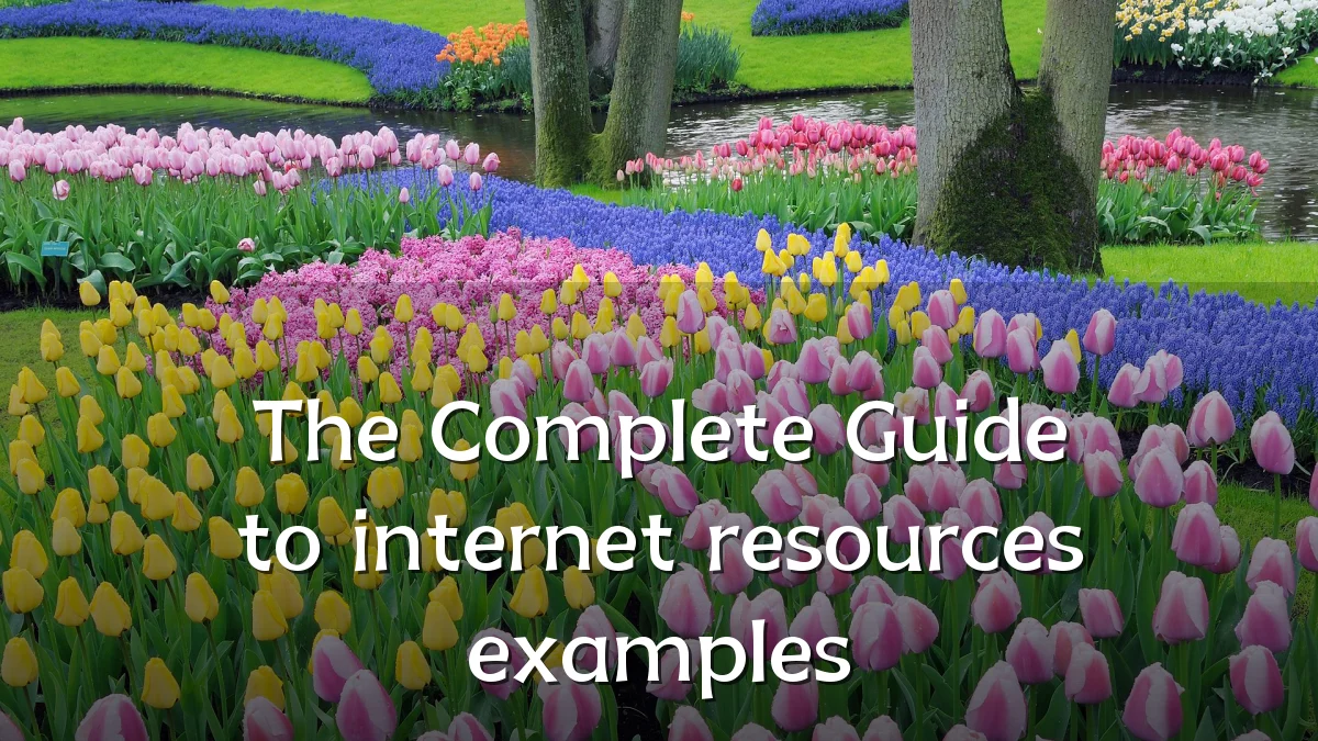 The Complete Guide to internet resources examples