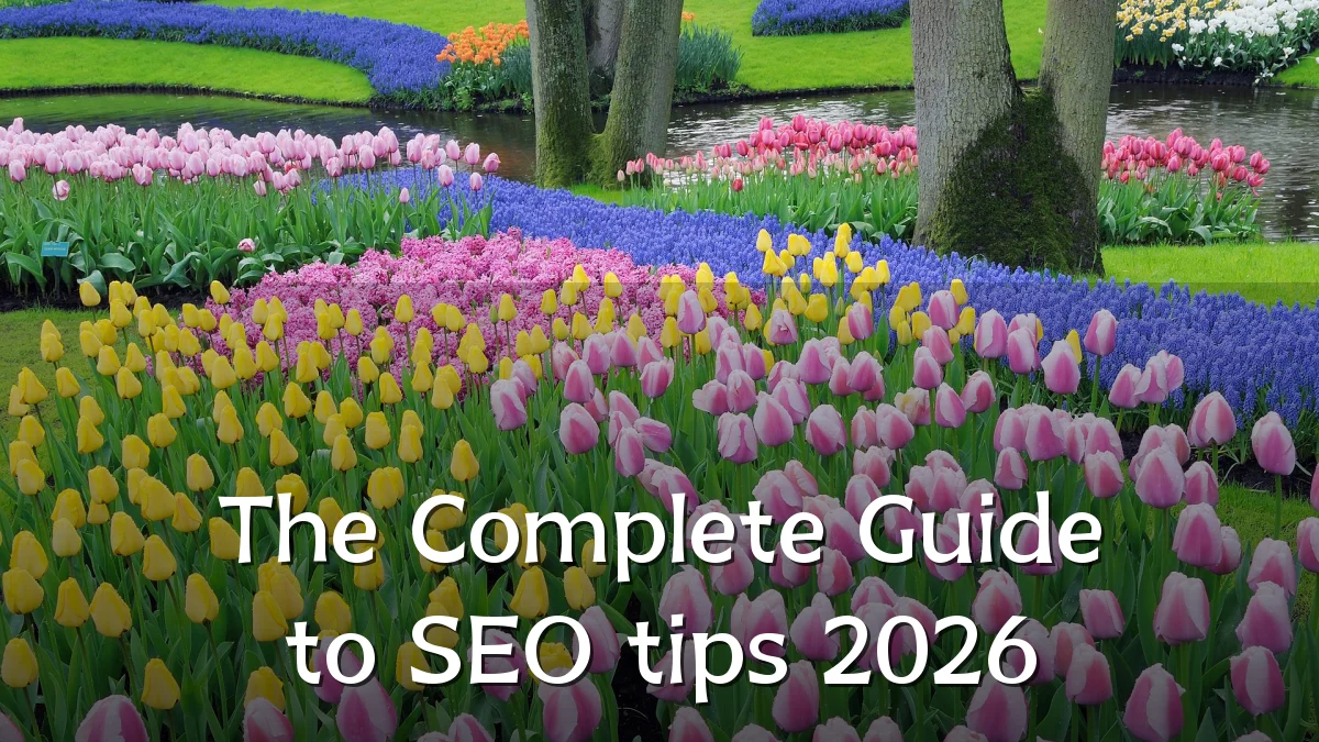 The Complete Guide to SEO tips 2026