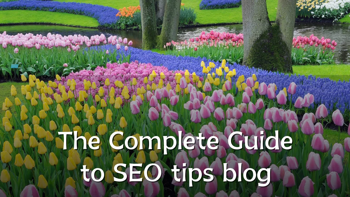 The Complete Guide to SEO tips blog