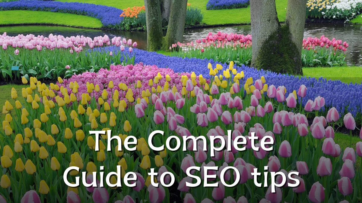 The Complete Guide to SEO tips