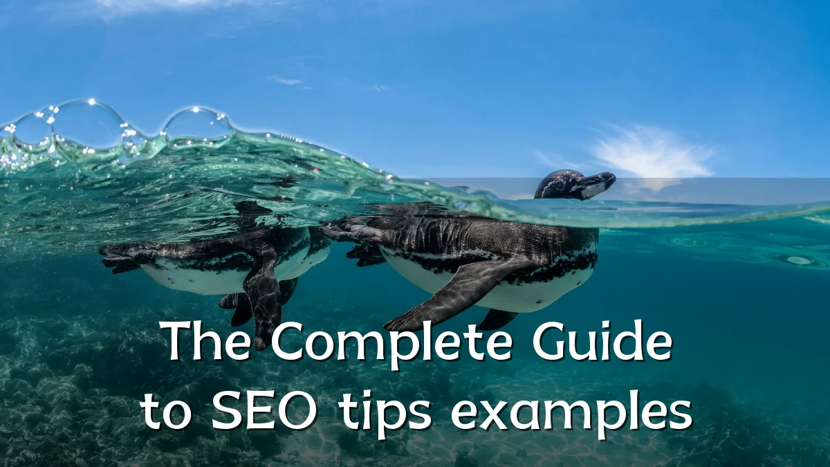 The Complete Guide to SEO tips examples