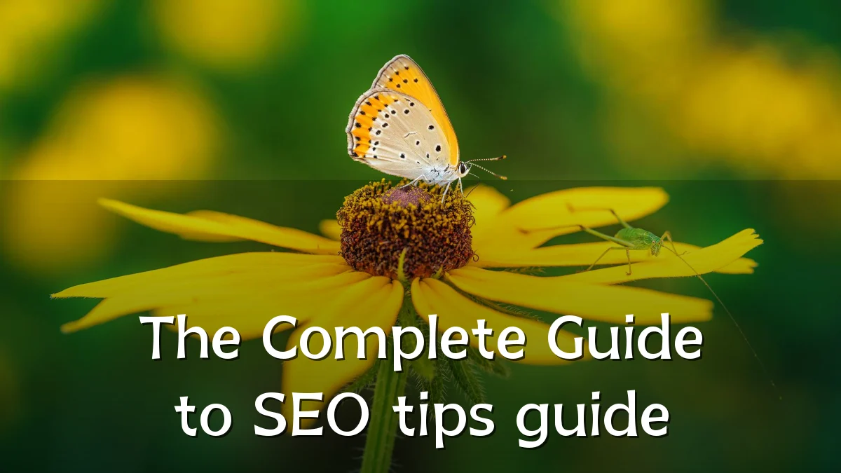 The Complete Guide to SEO tips guide