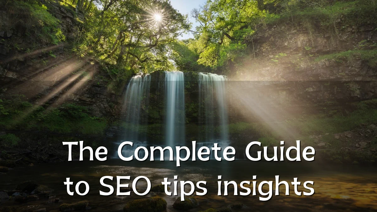 The Complete Guide to SEO tips insights