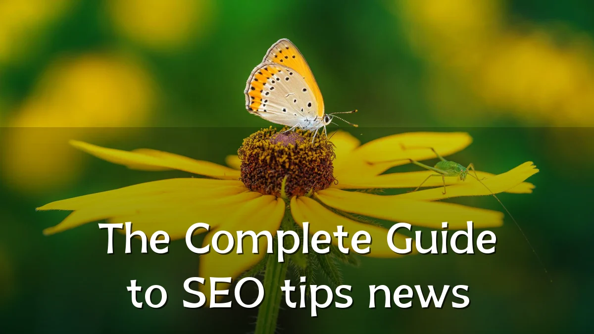 The Complete Guide to SEO tips news