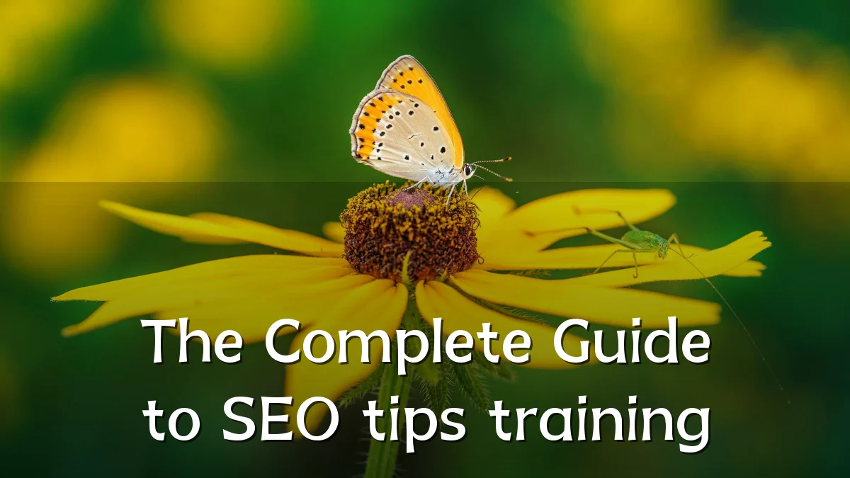 The Complete Guide to SEO tips training