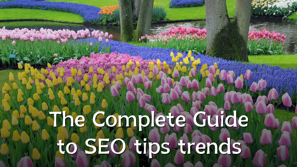 The Complete Guide to SEO tips trends