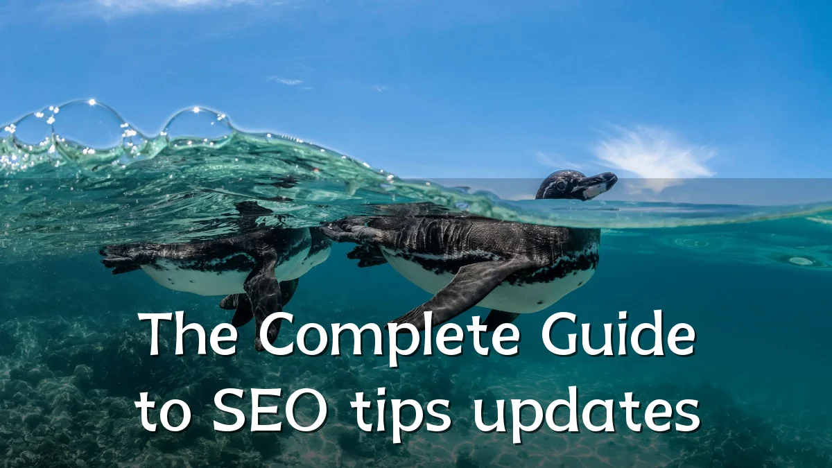 The Complete Guide to SEO tips updates