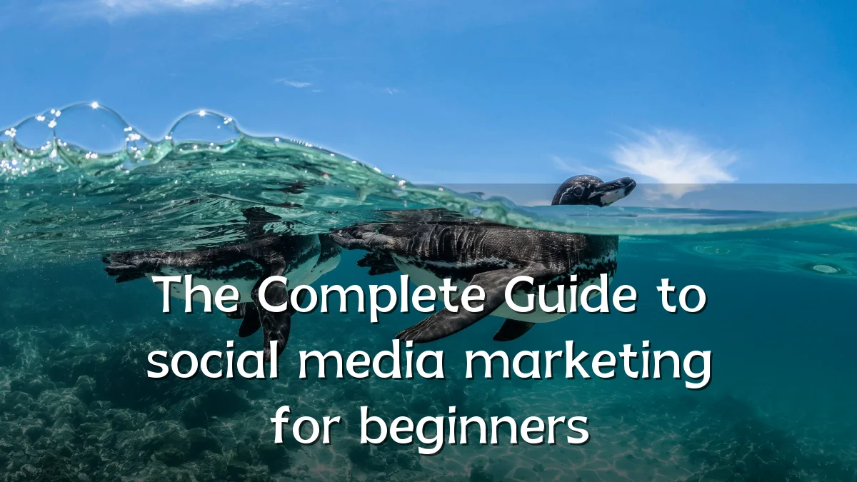 The Complete Guide to social media marketing for beginners