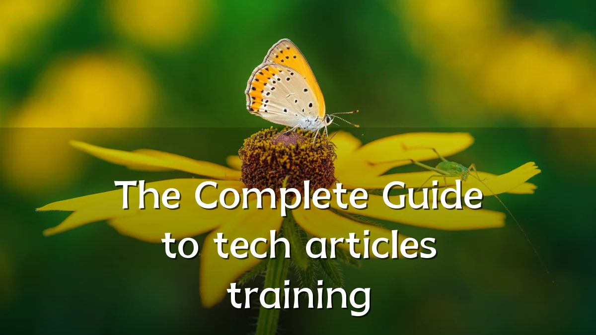 The Complete Guide to tech articles training