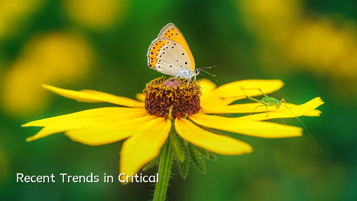 Recent Trends in Critical